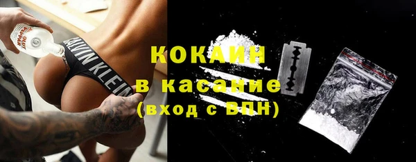 дживик Липки