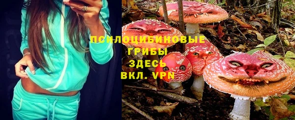 дживик Липки