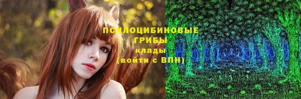 дживик Липки