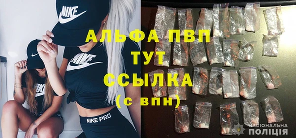 дживик Липки