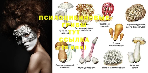спиды Лихославль