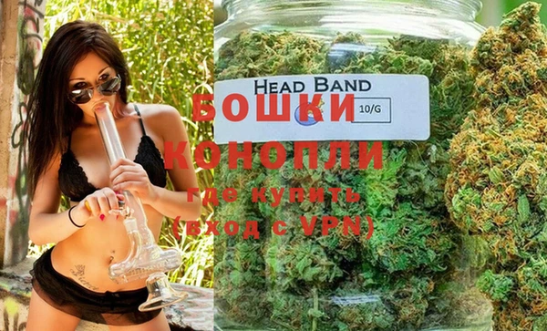 дживик Липки