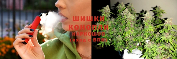 дживик Липки